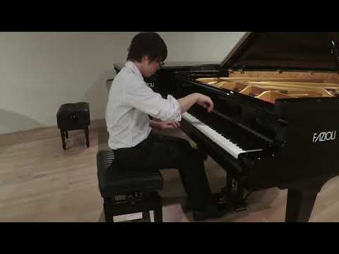 J. Brahms Variationen über ein eigenes Thema D-Dur Op.21-1 pf.小林遼